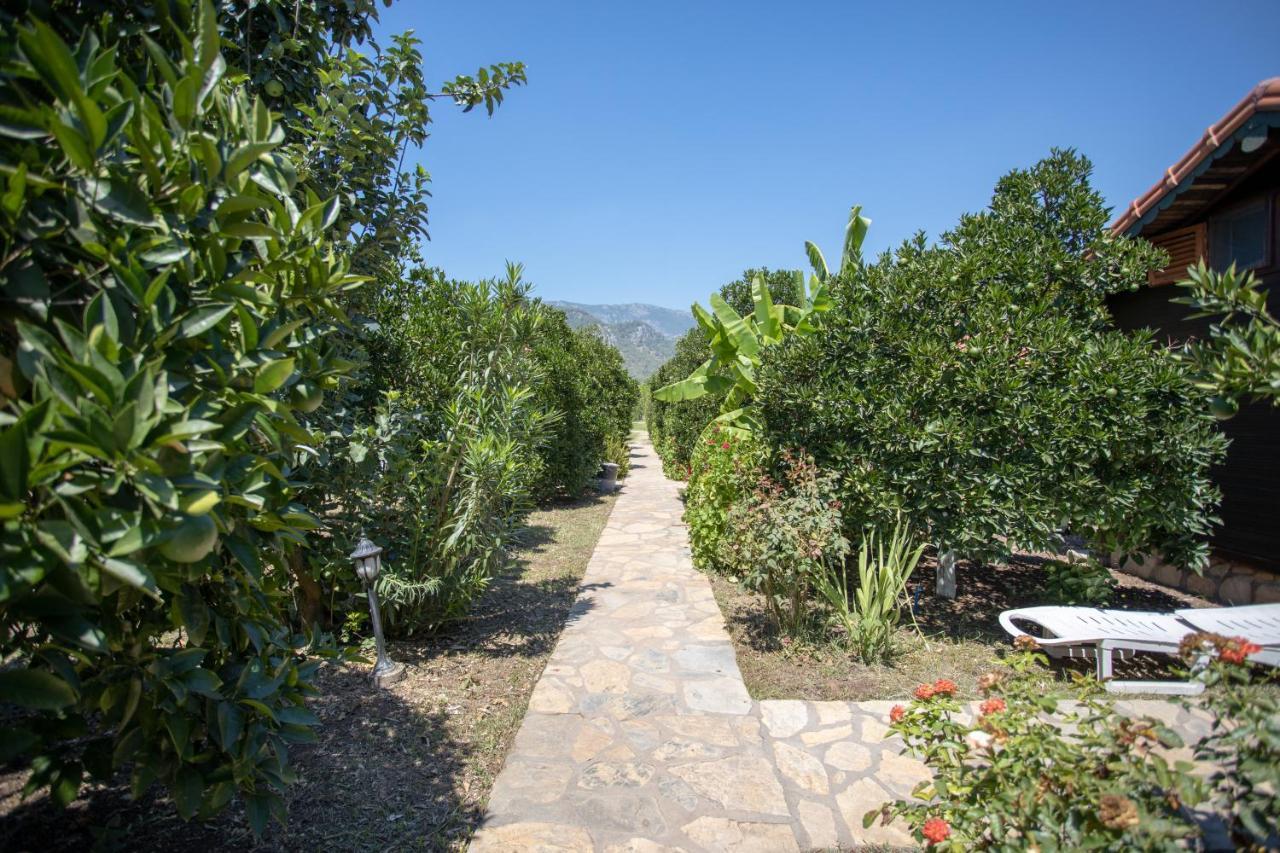 Çıralı Ugur Pansiyon Bungalows מראה חיצוני תמונה