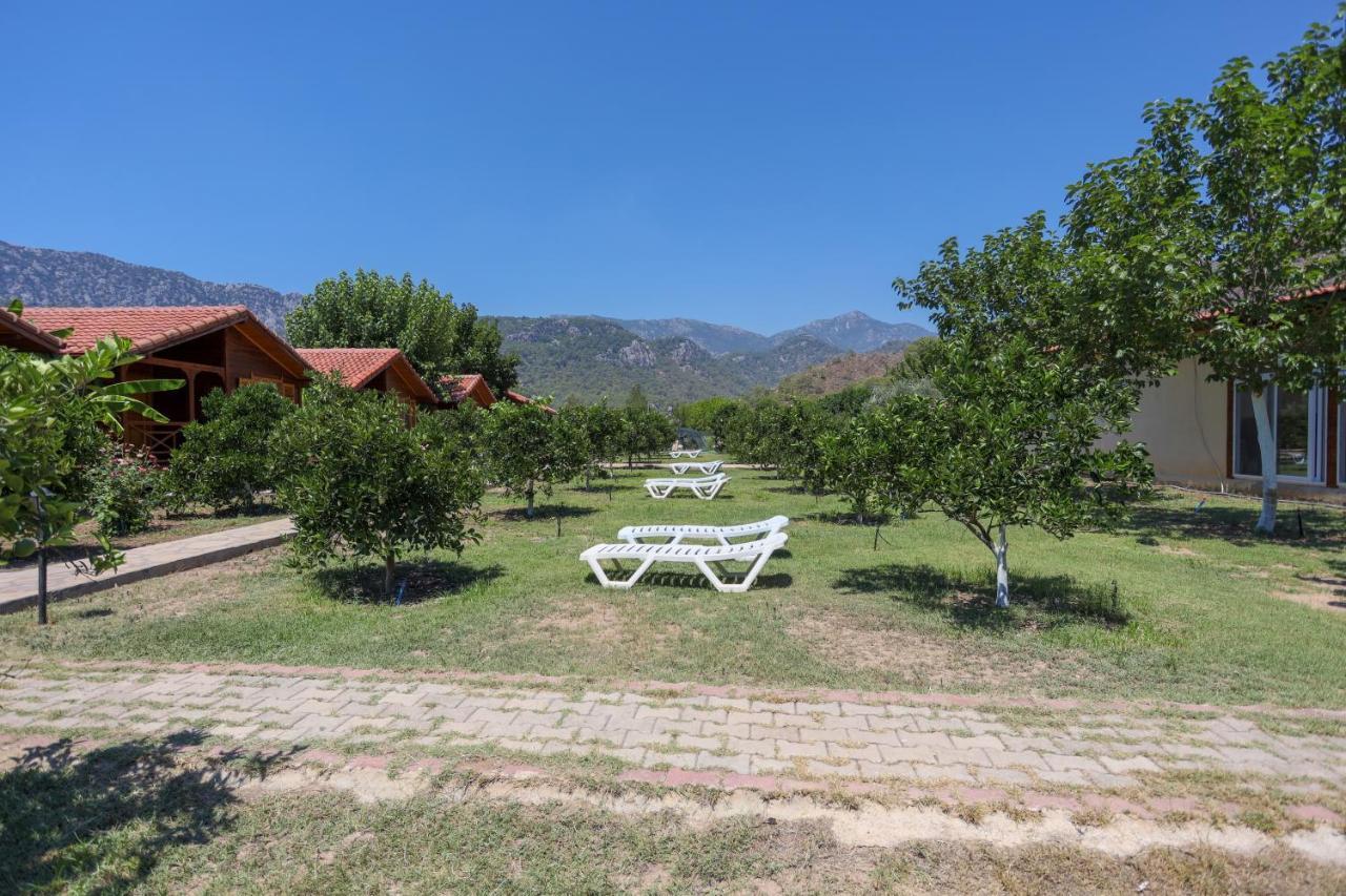 Çıralı Ugur Pansiyon Bungalows מראה חיצוני תמונה