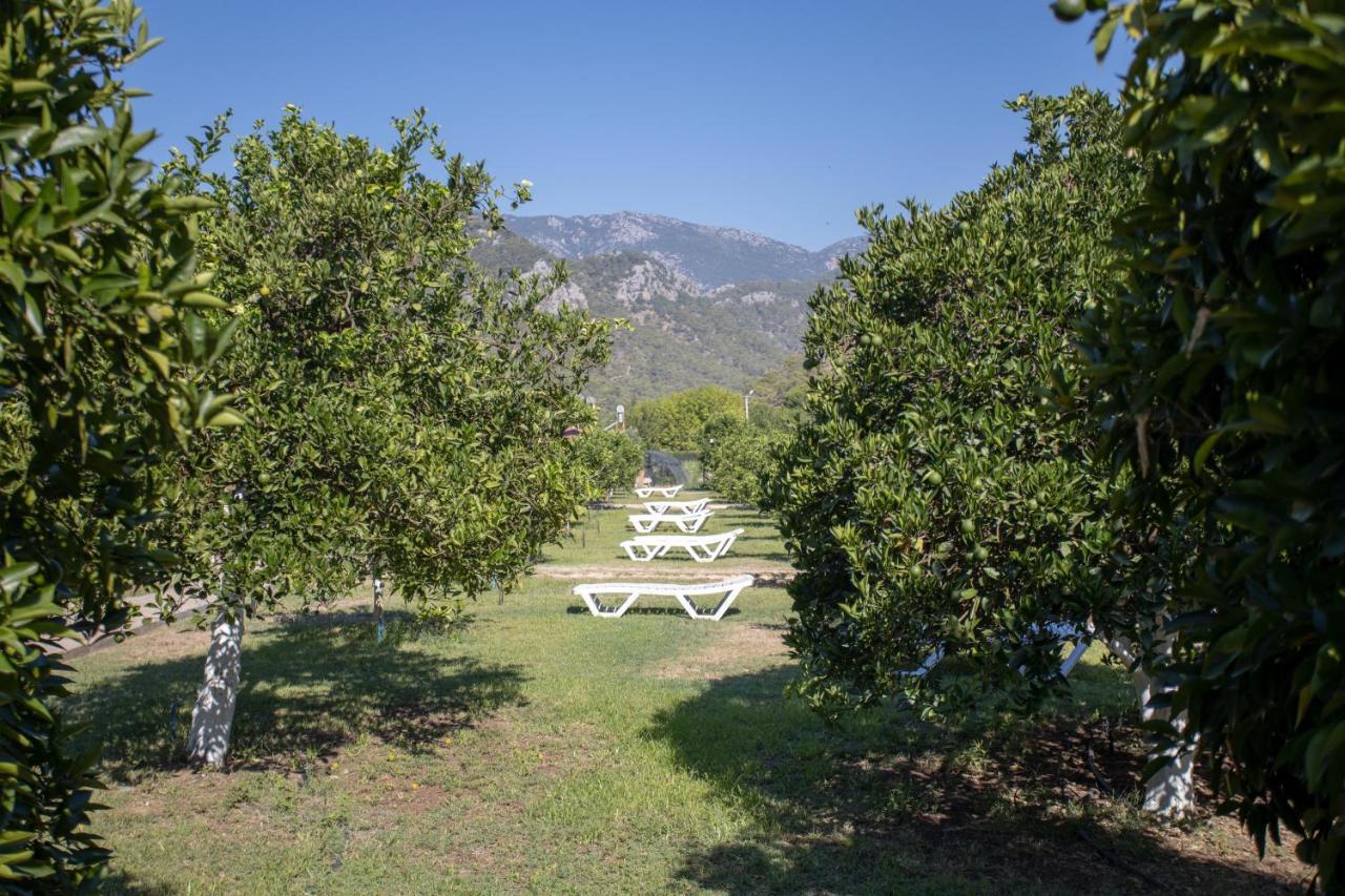 Çıralı Ugur Pansiyon Bungalows מראה חיצוני תמונה