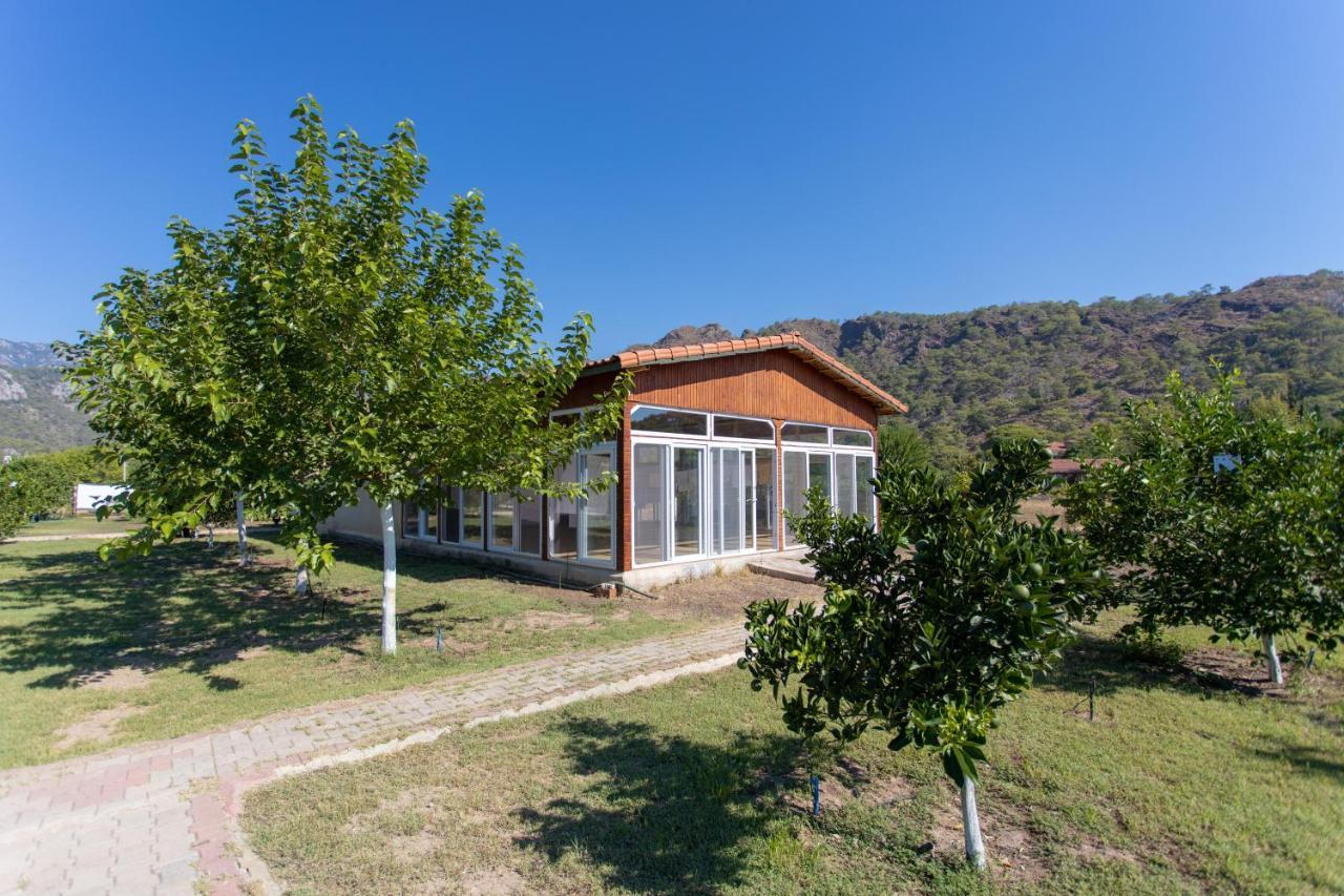 Çıralı Ugur Pansiyon Bungalows מראה חיצוני תמונה