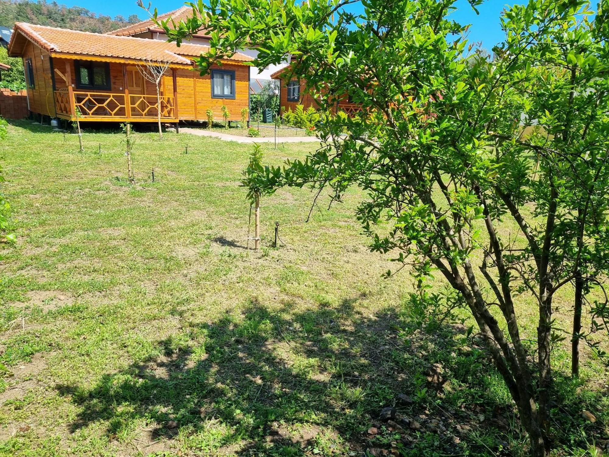 Çıralı Ugur Pansiyon Bungalows מראה חיצוני תמונה